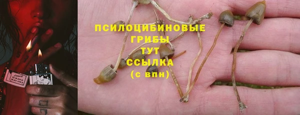 первитин Алексин