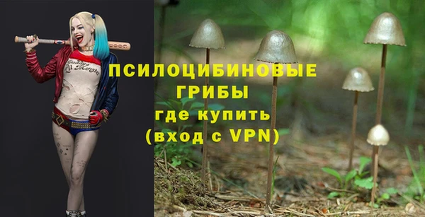 первитин Алексин