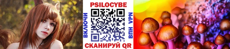 Псилоцибиновые грибы Magic Shrooms  сайты даркнета формула  Бологое  kraken онион 