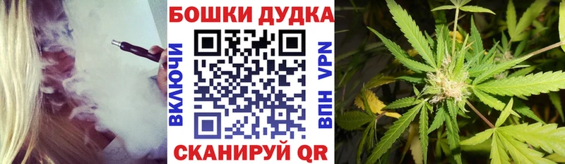 Каннабис гибрид  Бологое 